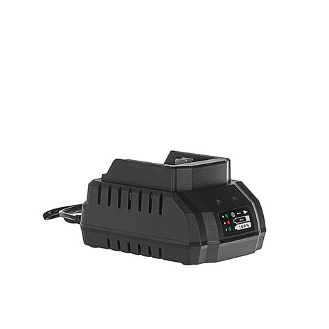 Charger for the G80667 cordless chainsaw