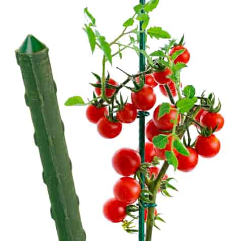 PVC-Coated Steel Garden Stake 11mm ×90cm