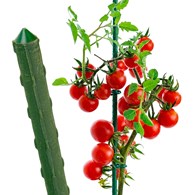 Stalowa tyczka ogrodowa powlekana PCV 11mm x150cm (100)