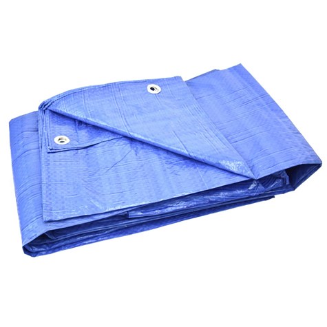 Royal Blue Tarpaulin 8x12m +/-5%