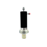 30 Ton Hydraulic Cylinder for Shop Press