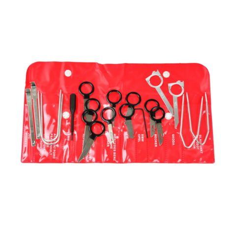 20 PCS Radio Removal Tool Set