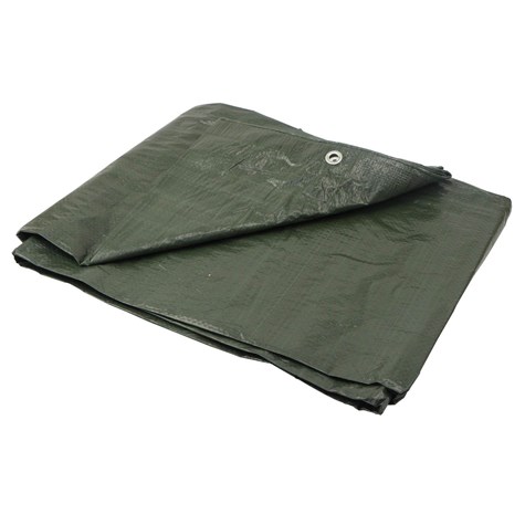 PE Tarpaulin sheet 5x6m green/thick