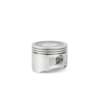6,5HP Piston+ring