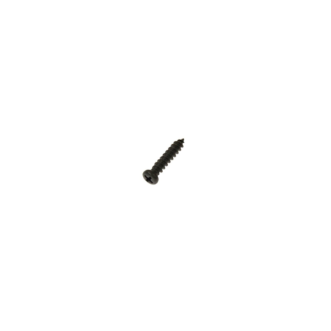 Screw #13 for Polishing Device