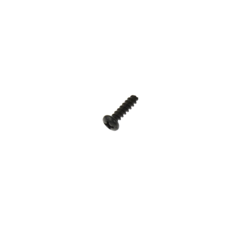 Screw #17 for Polishing Device