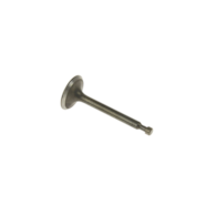 Exhaust valve