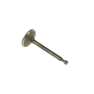 Intake valve
