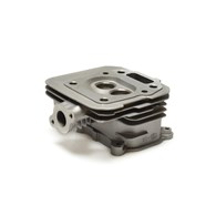 Cylinder head for lawn mower G83052